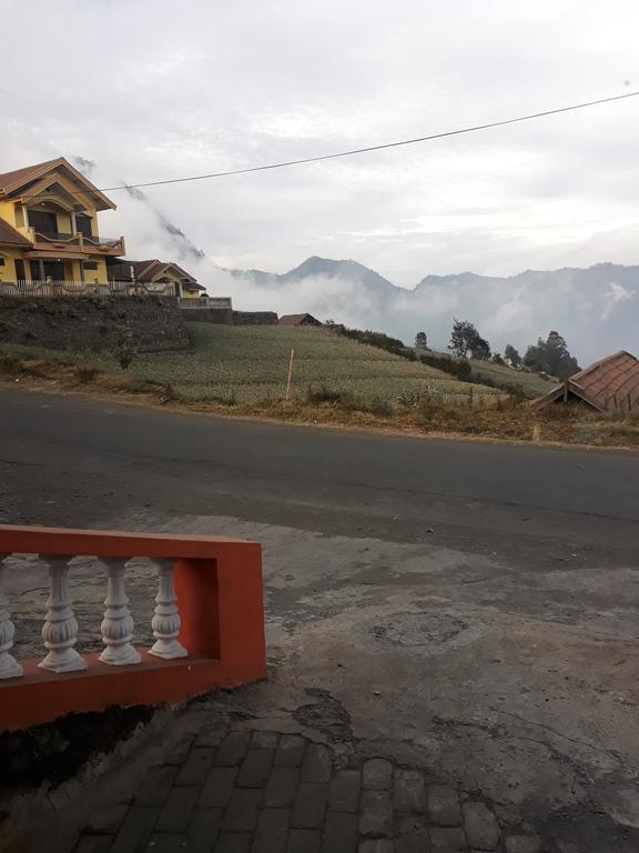 Sedulur Homestay Bromo Exterior foto