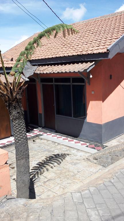 Sedulur Homestay Bromo Exterior foto